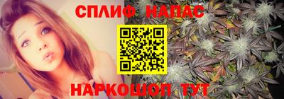 наркотики Новозыбков