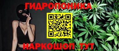 наркотики Новозыбков