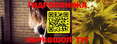 герыч Новодвинск