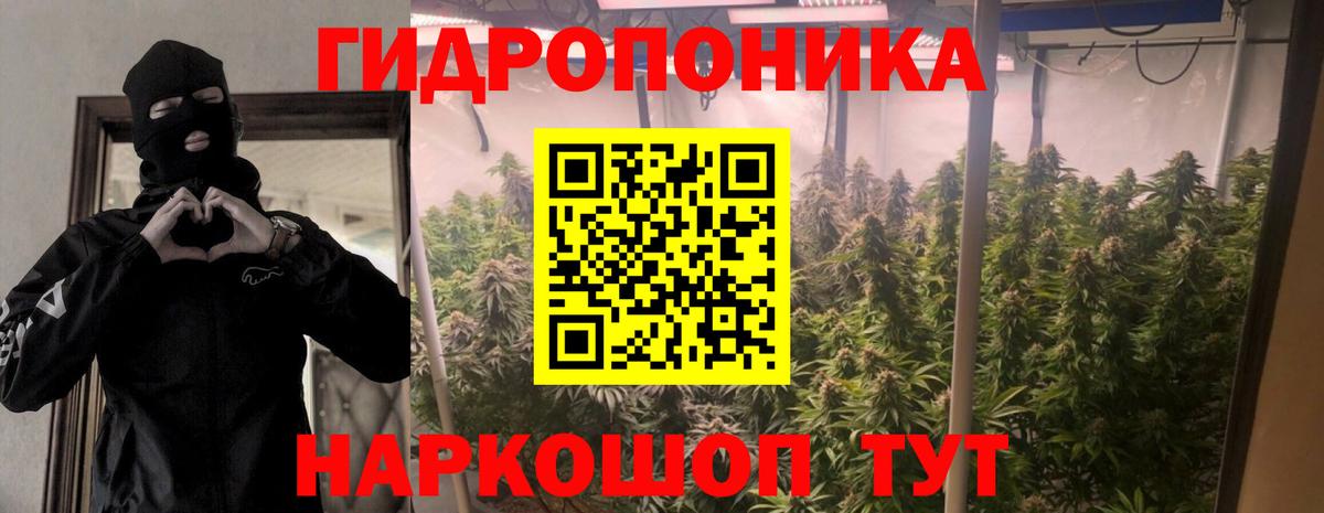 Канабис планчик  МАРИХУАНА ГИДРОПОН  Среднеуральск  Вход с VPN  Бошки марихуана AK-47 
